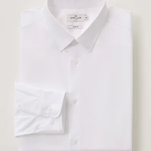 Chemise Slim Fit homme popeline unie easy care