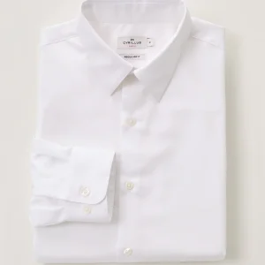Chemise unie coton twill Regular Fit homme non iron
