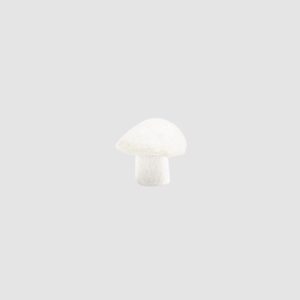 Champignon en feutre – Naturel – Muskhane