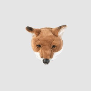 Trophée Renard Louis – Wild & Soft