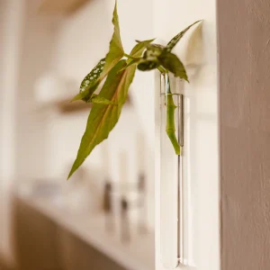 Vase magnétique transparent - Walleaf