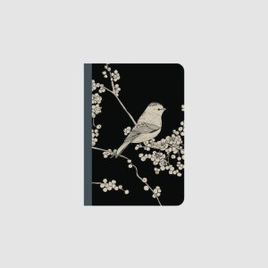 Carnet – Dans les baies – Le cerisier blanc