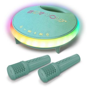 Enceinte Karaoké tout en un